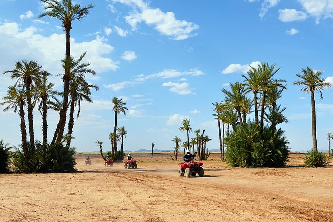 Marrakech Desert and Palm Grove Quad Bike Tour - Quad bikes plus Berber villages, the Marrakech twist