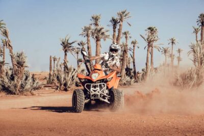 Desert and Palm Grove Quad Tour with Tea