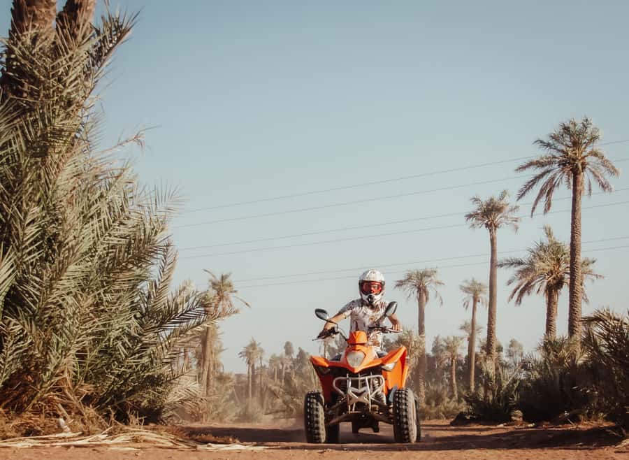 Marrakech: Desert and Palm Grove Quad Tour with Tea - My Practical Verdict: Should You Book the Quad and Tea Tour?