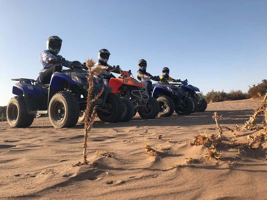 Marrakech: Desert and Palm Grove Sunset Quad Tour with Tea - Stop two: palm grove sunset photos and golden-hour riding