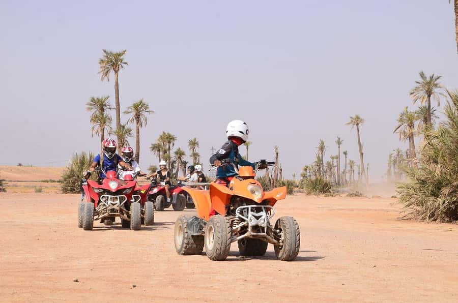 Marrakech: Desert and Palm Grove Sunset Quad Tour with Tea - Guides, group flow, and how the tour feels on the ground