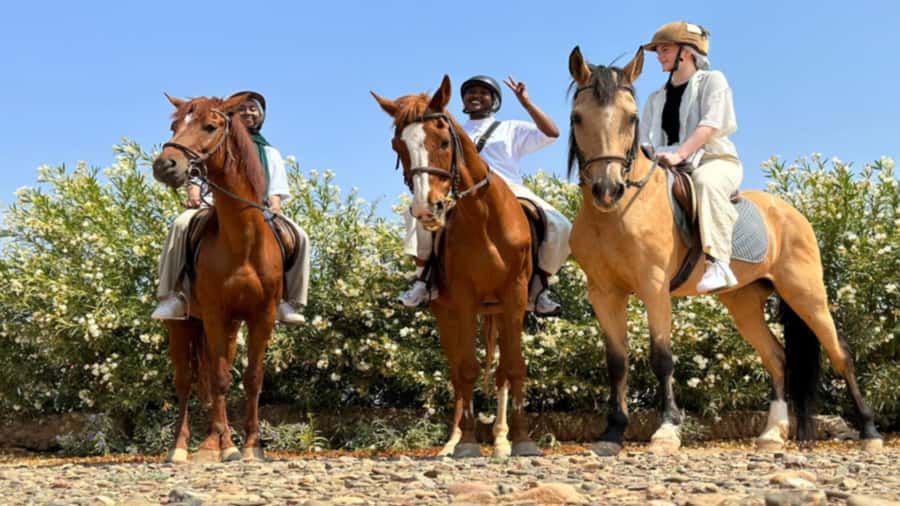 Marrakech: Desert and Palmeraie Horse Riding Tour & Transfer - Palmeraie horse riding: palms, fresh air, and the kind of scenery you can feel