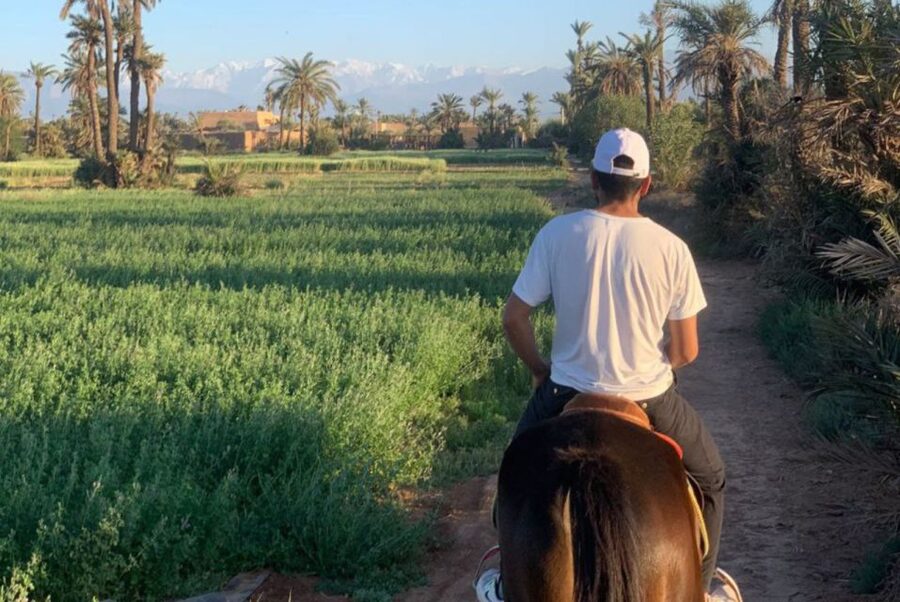 Marrakech: Desert and Palmeraie Horse Riding Tour & Transfer - Passing Berber villages on horseback, not as a stop, but as a moving view