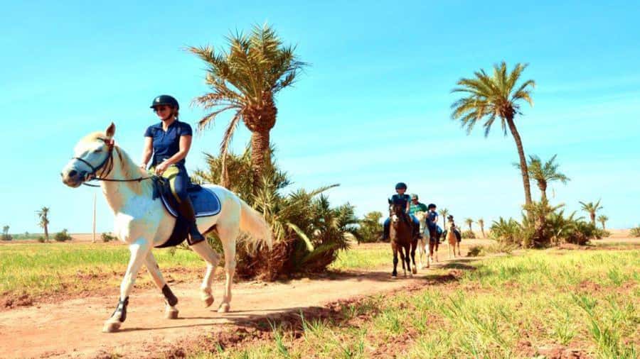 Marrakech: Desert and Palmeraie Horse Riding Tour & Transfer - Poolside mint tea and a quick reset before mounting up