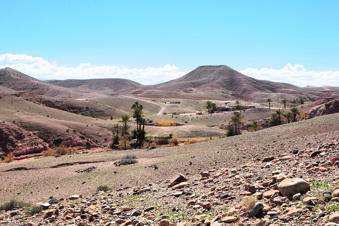 Marrakech Desert Buggy Tour Including Berber Tea Break and transfer - Dunes and Desert Stop 1: The Oasis Start in Agafay