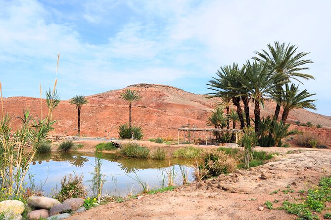 Marrakech Desert Buggy Tour Including Berber Tea Break and transfer - Berber Tea Break and Snack: Hospitality at the Village Stop