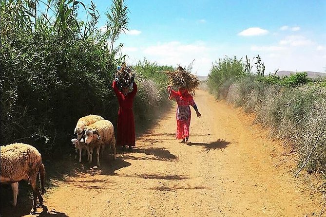 Marrakech Desert Buggy Tour Including Berber Tea Break and transfer - What You Actually Get Included in the Price