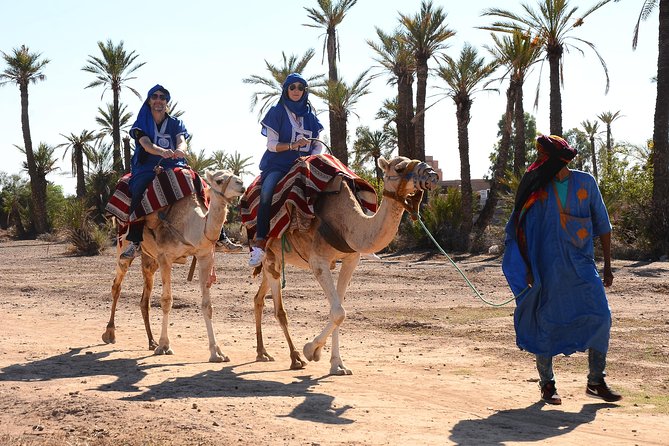 Marrakech Desert Camel Ride - Why a Camel Ride by the Palmeraie Feels Like the Smart Choice