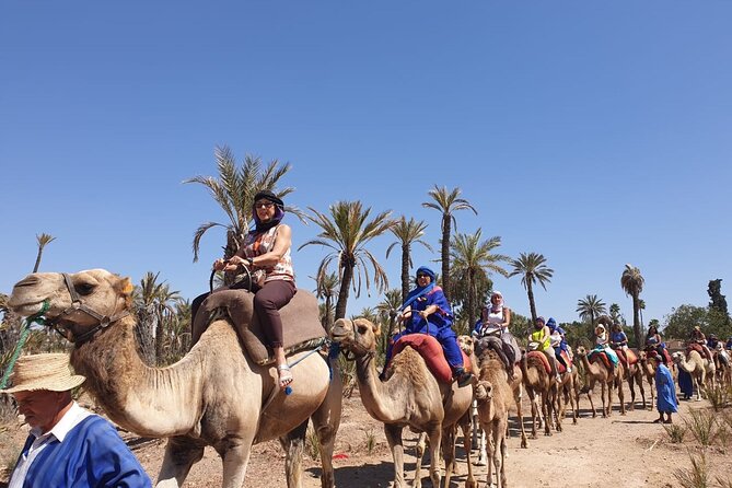 Marrakech Desert Camel Ride - The Berber Mint Tea Tent: A Small Cultural Moment That Actually Matters