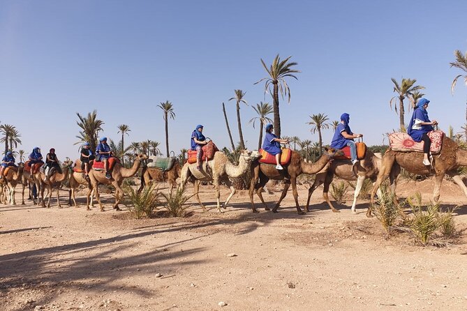Marrakech Desert Camel Ride - How Long It Takes, and How to Build Your Day
