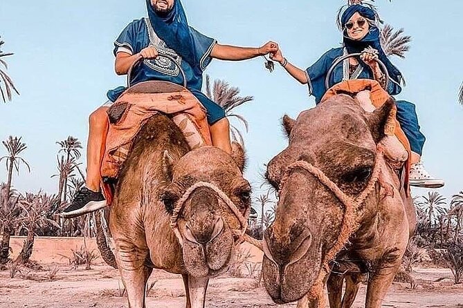 Marrakech Desert Camel Ride - Who This Tour Fits Best (and Who Might Want More)