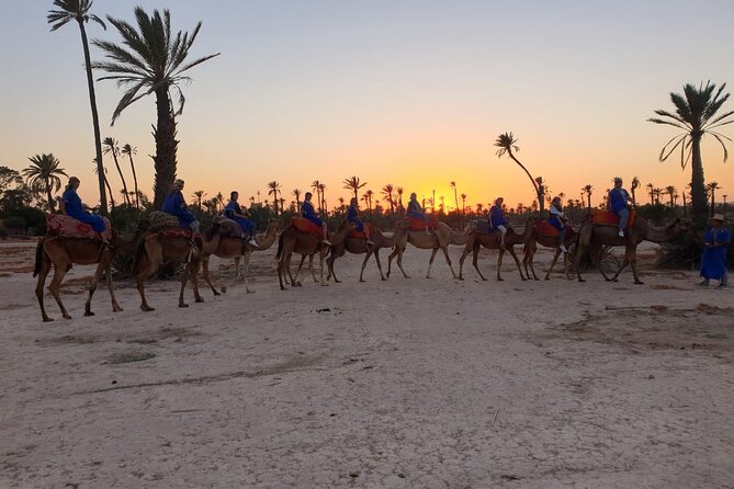 Marrakech Desert Camel Ride - What to Wear and Bring for a Comfortable Camel Ride