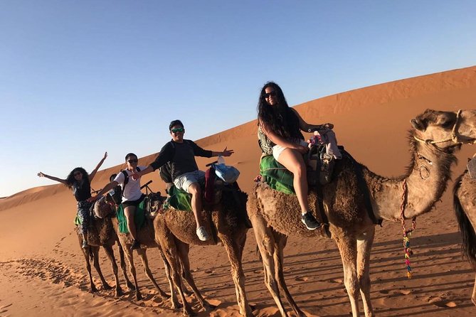 Marrakech Desert: Camel Ride, Quad Biking & Dinner Show Options - Dinner and the Berber show: what you really get for the money