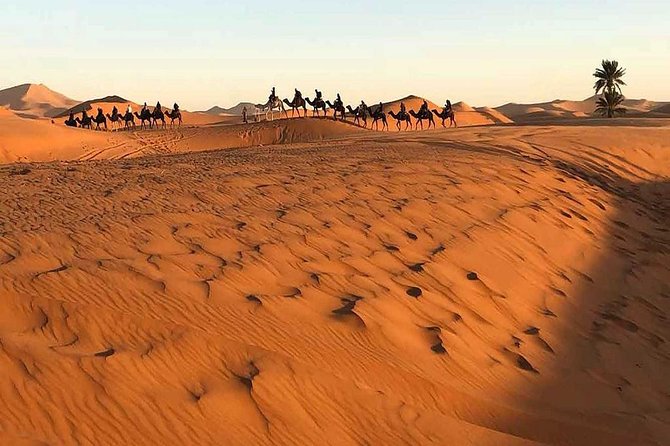 Marrakech Desert: Camel Ride, Quad Biking & Dinner Show Options - Price and value: does $52.14 make sense?