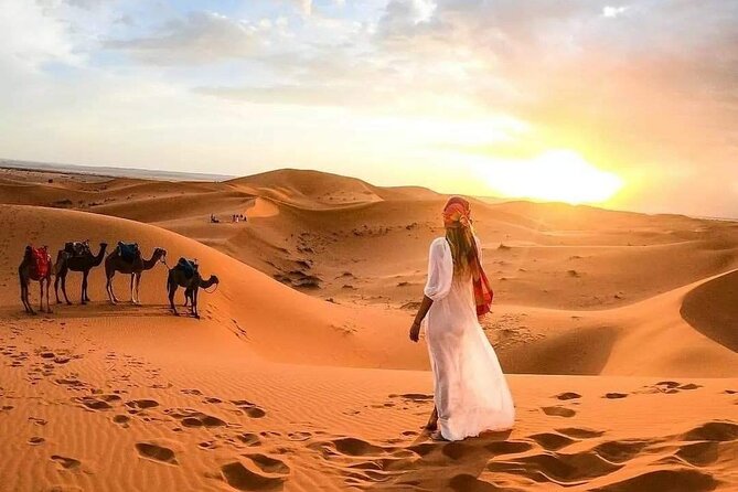 Marrakech Desert: Camel Ride, Quad Biking & Dinner Show Options - Who this tour fits best
