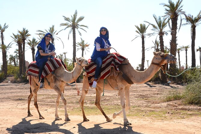 Marrakech Desert Camel Ride - Stop 1 in Marrakech: The Palm Grove Arrival