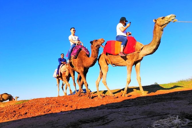 Marrakech Desert Dinner show with Quad bike at sunset - Key things I’d circle before you book