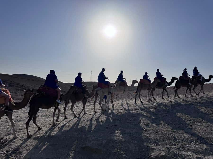 Marrakech: Desert Quad Bike Tour with Tea & Optional Dinner - Price and value: is $45 a fair deal in Marrakech?
