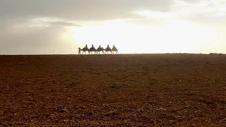 Marrakech: Desert Quad Bike Tour with Tea & Optional Dinner - Camp dinner in the desert: tajine, salad, music, and fire performance
