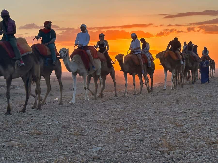 Marrakech: Desert Tour with Dinner, Show and Camel Ride - Key highlights worth your attention