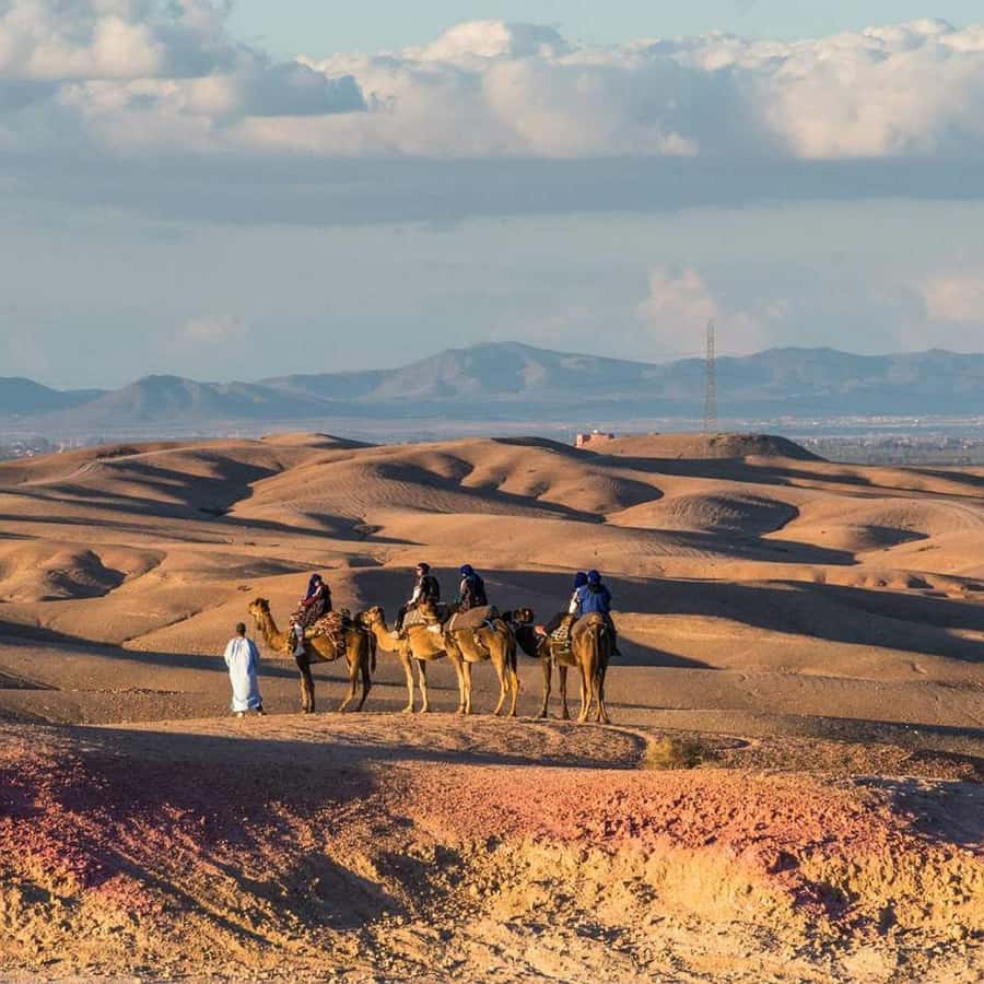 Marrakech: Desert Tour with Dinner, Show and Camel Ride - Camel ride over rocky dunes, what to expect in real life