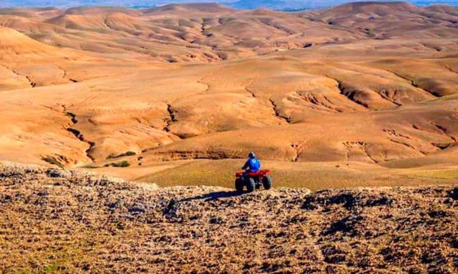 Marrakech: Dinner and Quad bike Desert Agafay Stars & show - Who this tour fits best in Marrakech