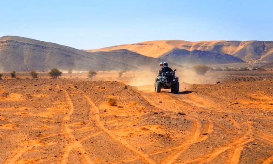 Marrakech: Dinner and Quad bike Desert Agafay Stars & show - The argan oil cooperative stop and mint tea break