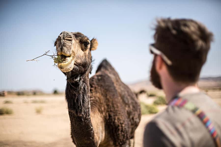 Marrakech: Dinner in Agafay Desert, Fire show & Camel Ride - Agafay Desert, the Short Drive That Still Feels Like Escape