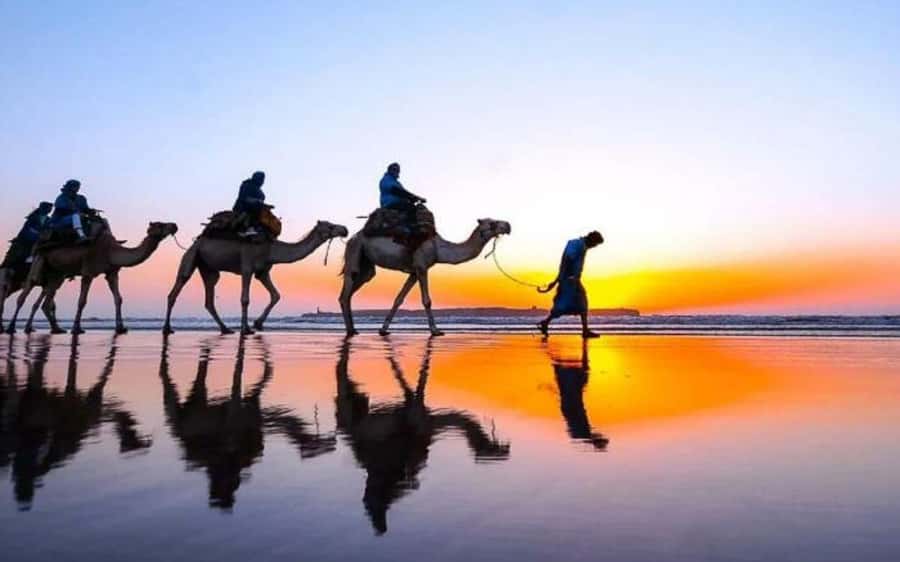 Marrakech Dinner Show Agafay Desert with Camels swiming pool - Key Things That Make This Agafay Night Worth It