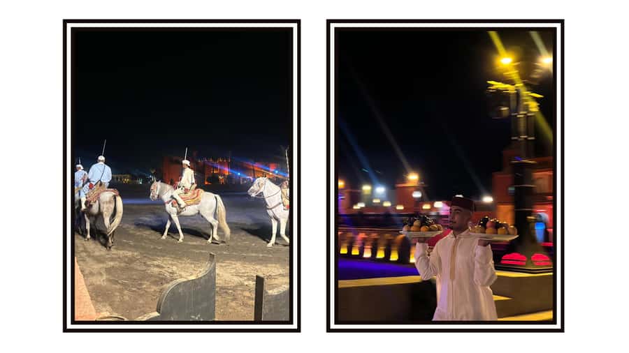 Marrakech: Dinner show and Fantasia in Chez Ali - Who should book Chez Ali, and who might not love it