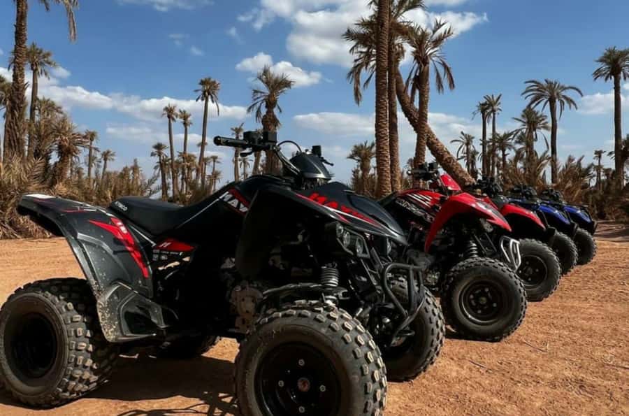 Marrakech: Dunes of the Palmeraie Quad Bike Ride with Tea - Palmeraie photo stop: palms, light, and a break from moving