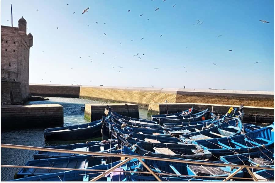 Marrakech: Essaouira Day Trip with Guided Tour - Key Things I’d Book This For