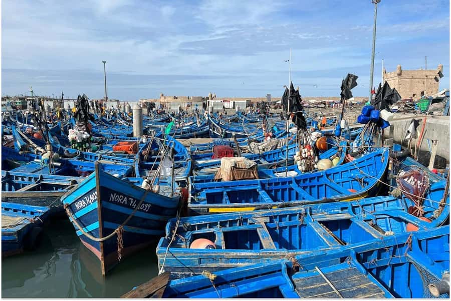 Marrakech: Essaouira Day Trip with Guided Tour - Getting From Marrakech To Essaouira Without Losing Your Day