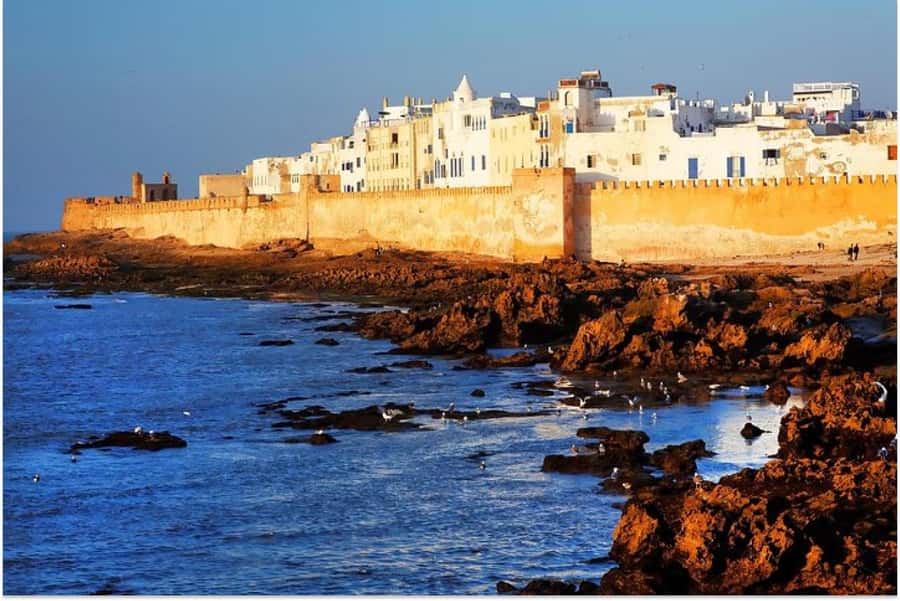 Marrakech: Essaouira Day Trip with Guided Tour - Lunch Choices That Fit The Sea Town Mood