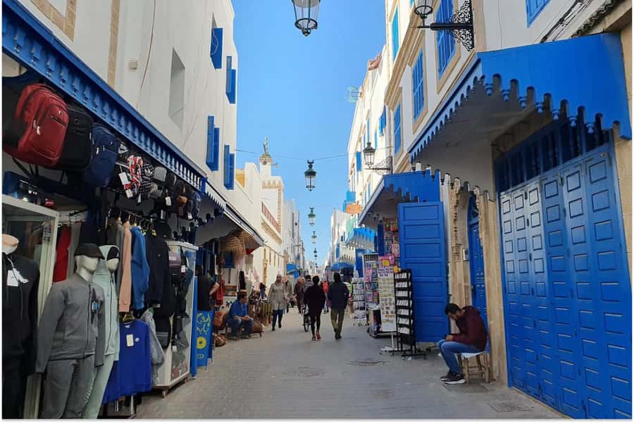 Marrakech: Essaouira Day Trip with Guided Tour - Haouz Plains Stops And The Small Moments That Make It Feel Local