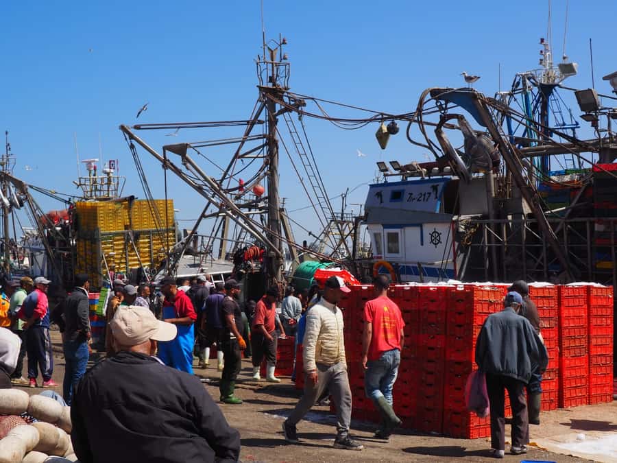 Marrakech: Essaouira Day Trip with Transfers and Co-op Visit - Key points to know before you go