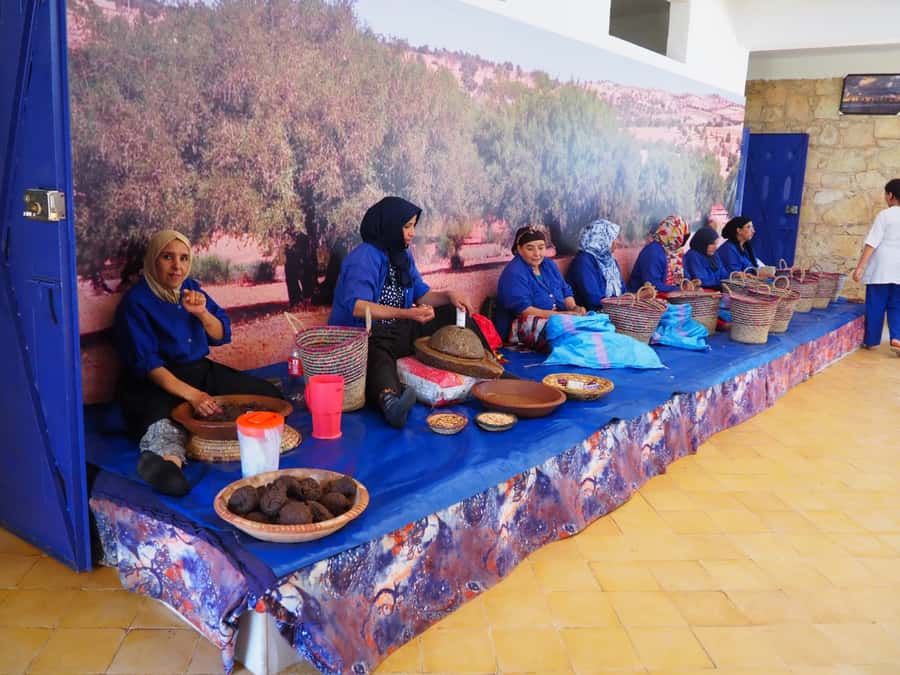 Marrakech: Essaouira Day Trip with Transfers and Co-op Visit - Who should book this day trip, and who might not