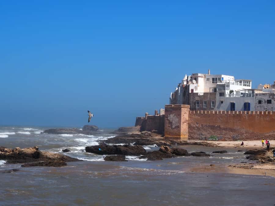 Marrakech: Essaouira Day Trip with Transfers and Co-op Visit - Roadside stop 1: coffee, food, and a needed reset