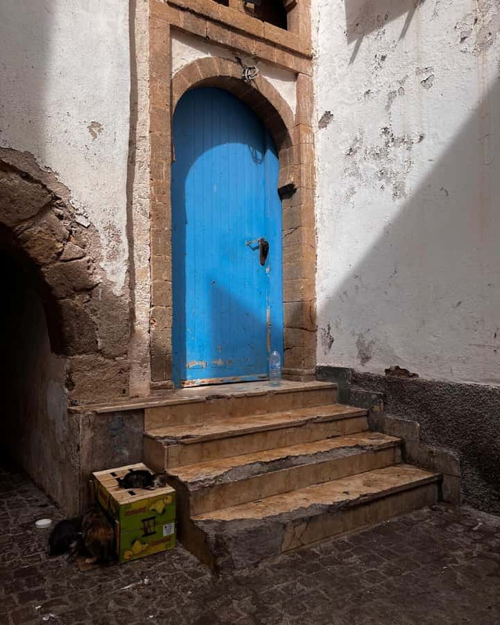Marrakech: Essaouira Day Trip with Transfers and Co-op Visit - Value and price: where your $14 actually goes