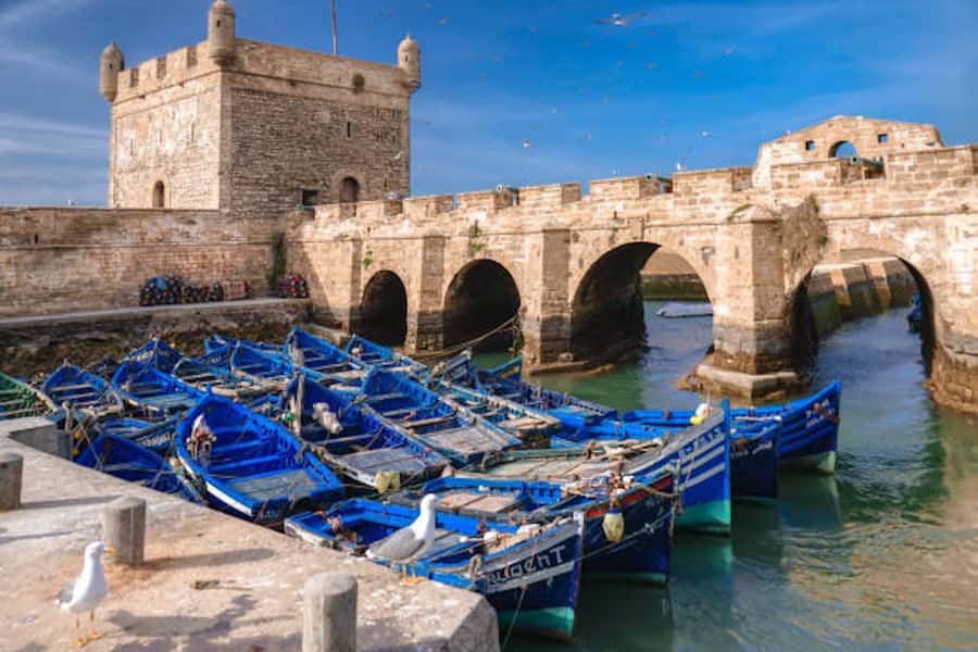 Marrakech: Essaouira Full-Day Trip - Key things to know before you go