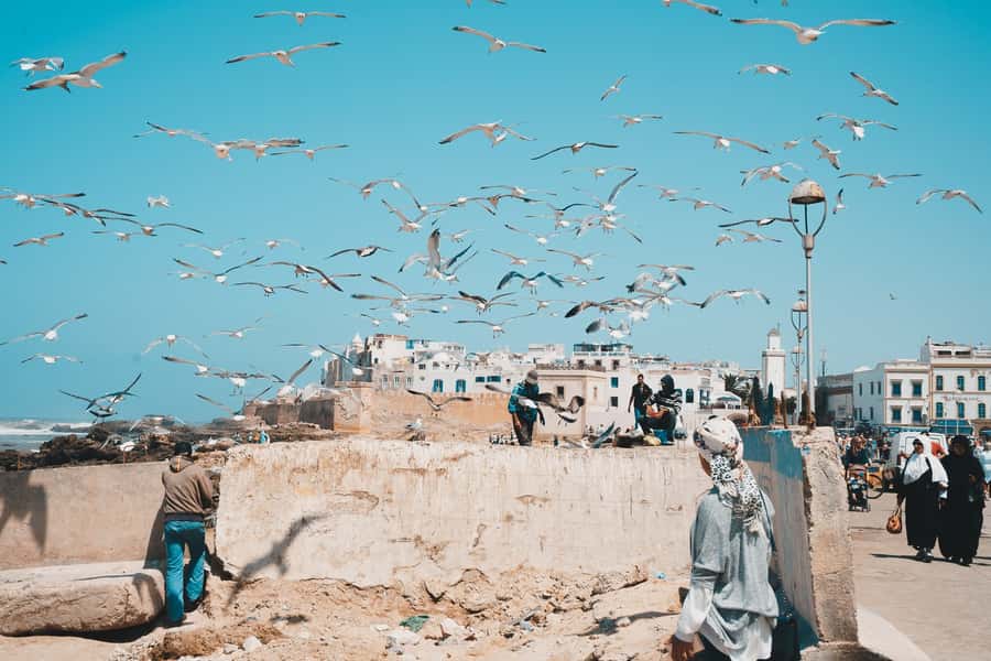 Marrakech: Essaouira Full-Day Trip - Souks and the Jeweler’s Quarter: Browse, Compare, Repeat