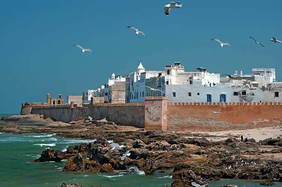 Marrakech: Essaouira Full-Day Trip - Back to Marrakesh Around 19:00: The Long Day, Managed