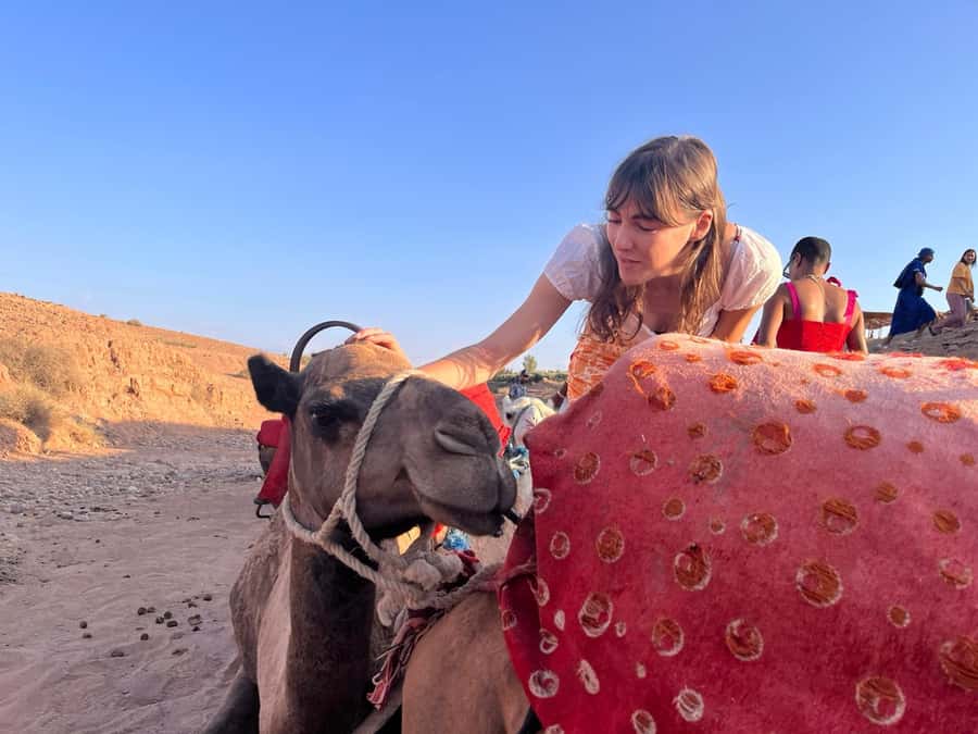 Marrakech: Evening Escape to the Agafay Desert - Mint tea at the camp: the calm before the color shift