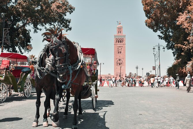 Marrakech Excursion Mini Group Camel Ride from Casablanca - Who should book this day trip, and who should look for something slower