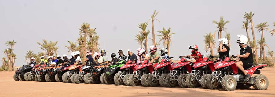 Marrakech:excursion quad in Oasis palm & jbilat desert,tea - Entering Marrakech’s Palmeraie, pickup that actually works