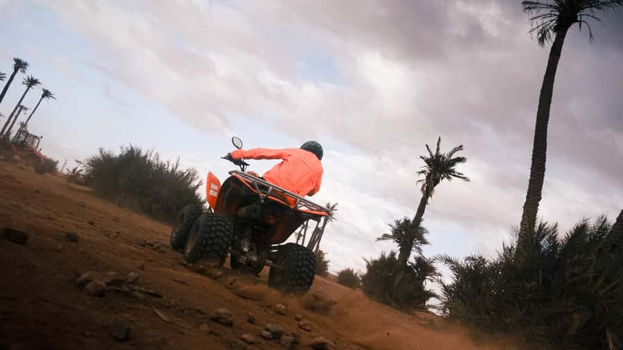 Marrakech:excursion quad in Oasis palm & jbilat desert,tea - Price check: why $14 can still feel worth it