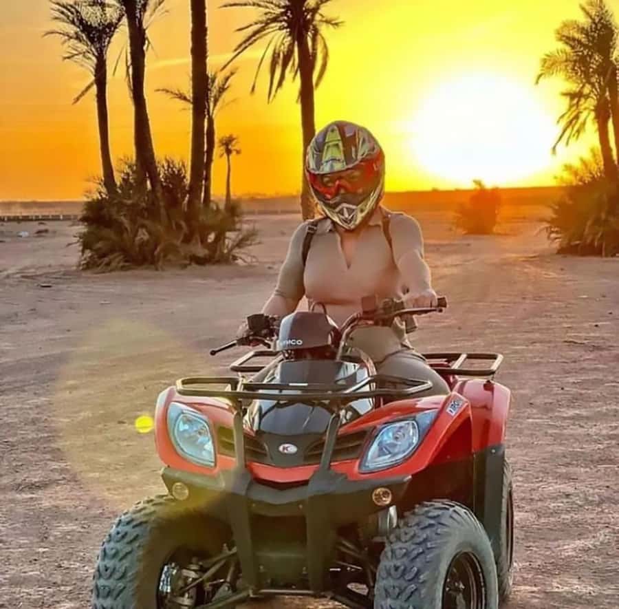 Marrakech, explore the palm grove desert by quad bike - Key Highlights at a Glance