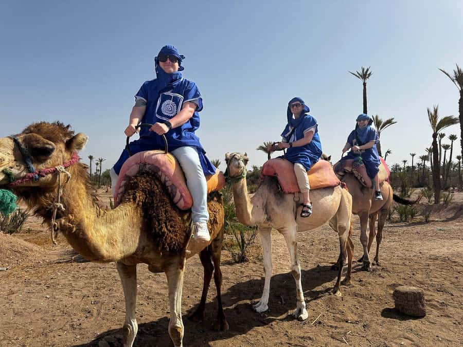 Marrakech Full-day excursion From Casablanca - Casablanca Pickup to Marrakech Arrival: Comfort That Matters