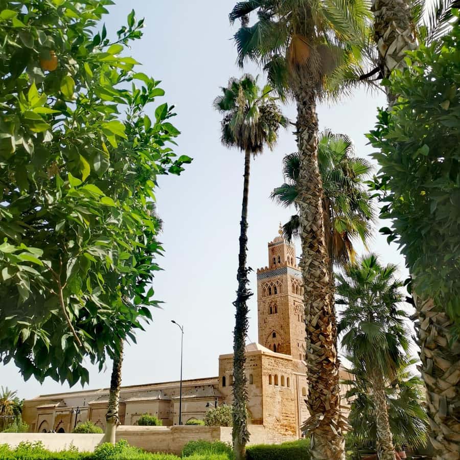 Marrakech: Guided Bike Tour with a local Guide - Menara Gardens: shade, photos, and a calmer pause