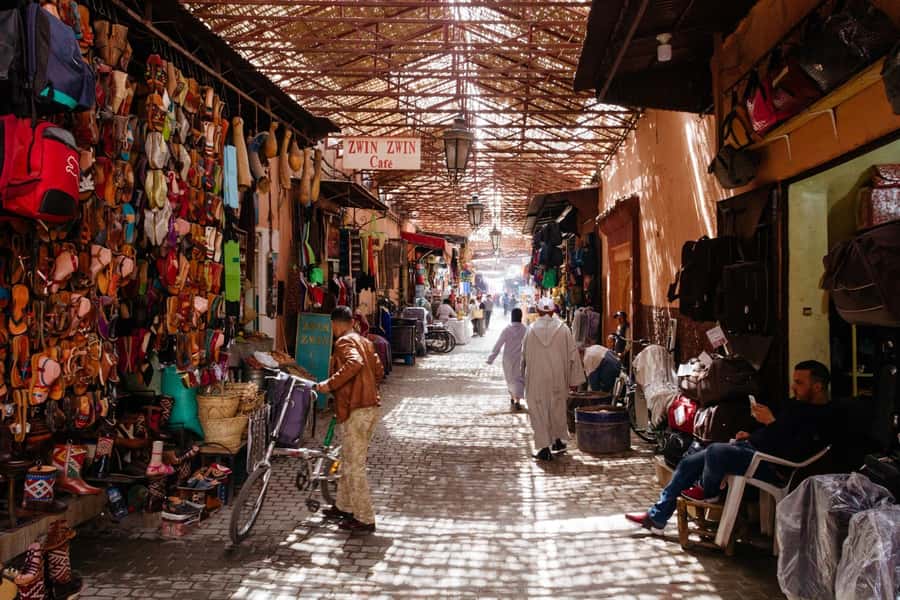Marrakech: Guided City and Gardens Highlights Tour - Pickup, van transfers, and the timing reality